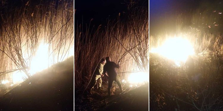 Požar u lovištu: Baranđanski lovci gasili vatru