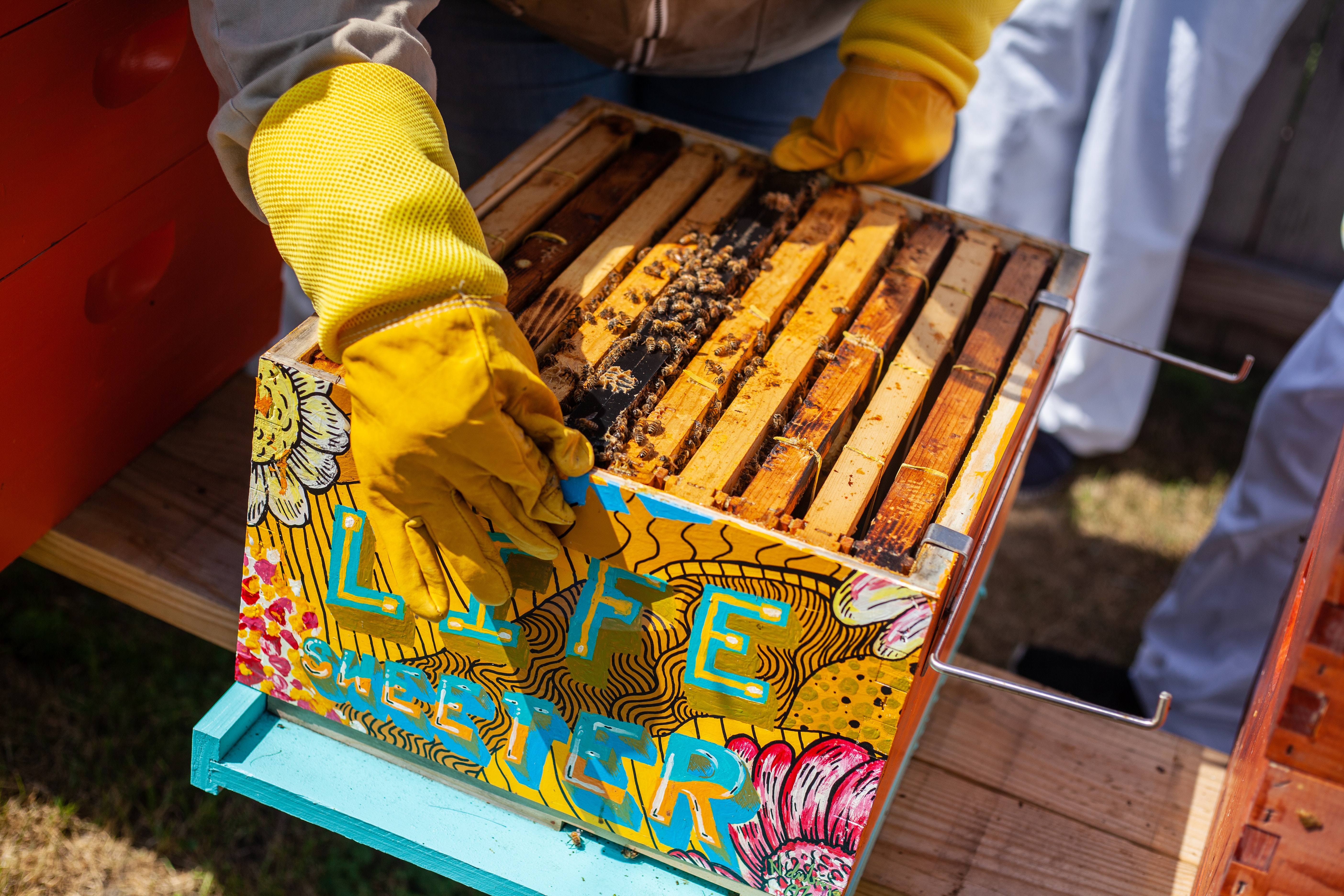 Tradicionalni 53. Sabor pčelara završen u Devojačkom bunaru