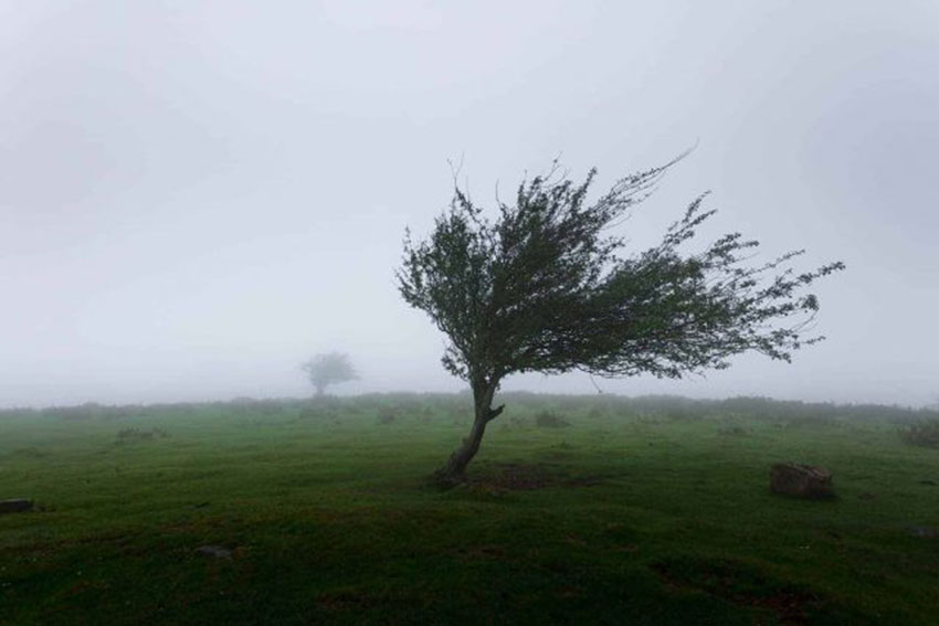 RHMZ upozorava na jak vetar od noćas i veću količinu padavina od petka
