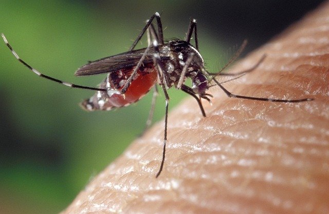 Prskanje komaraca u Opovu 11. avgusta
